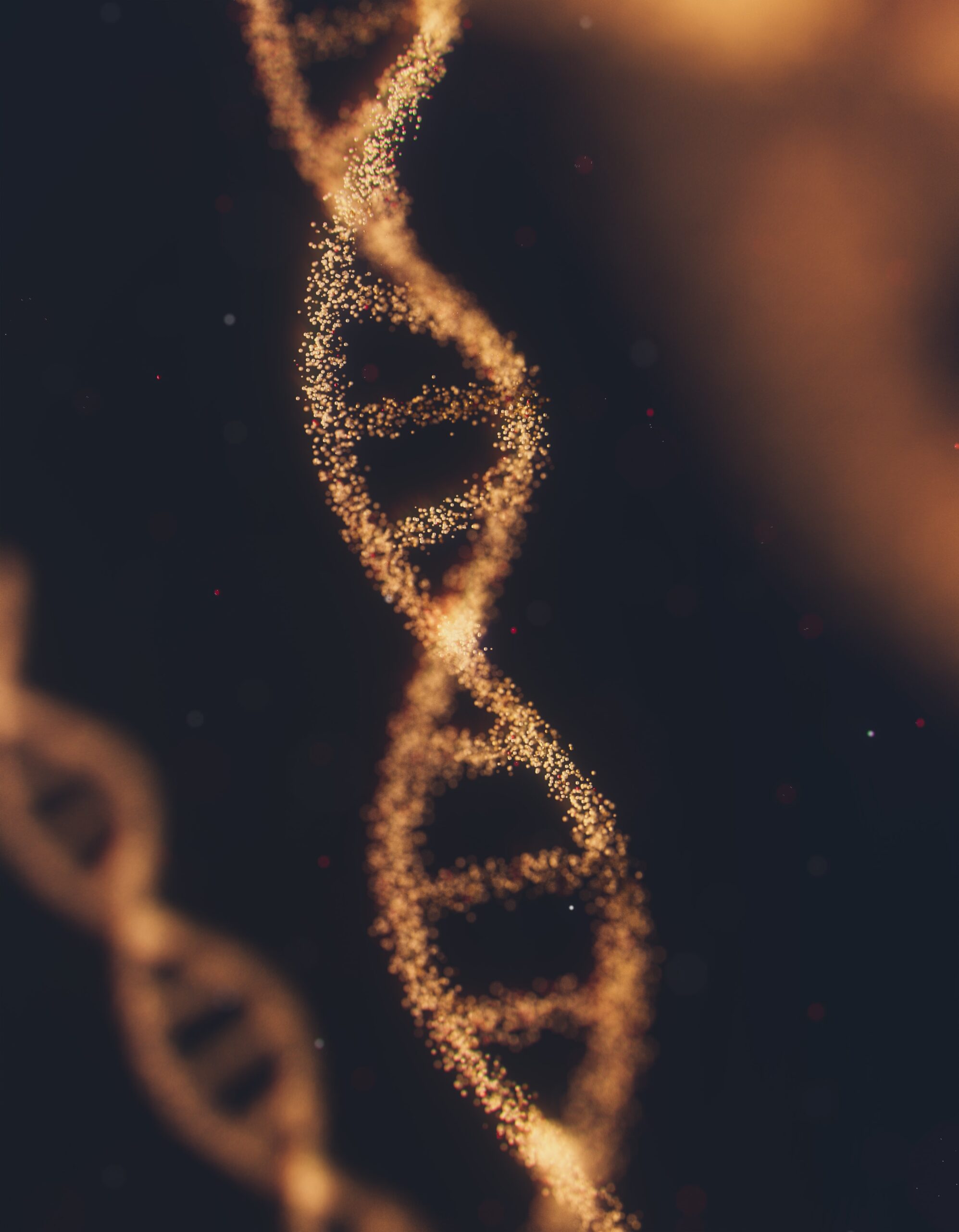 Structure Of DNA Structure Of DNA