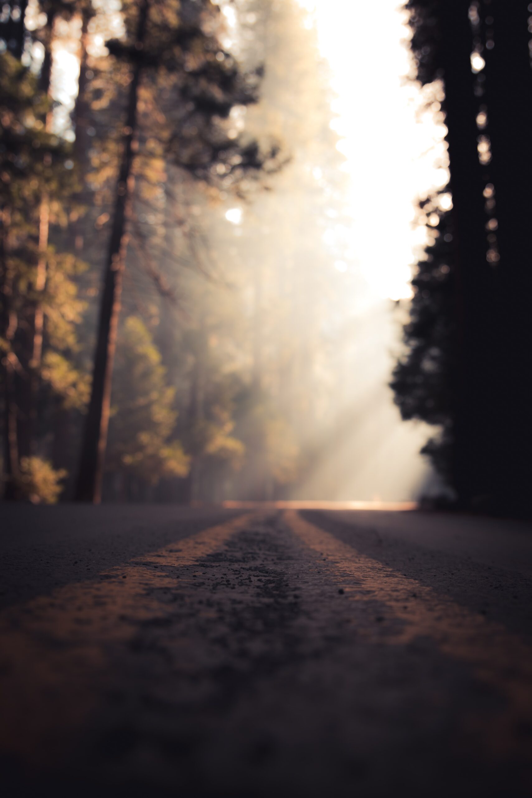 Path Path